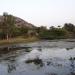 Shivaalayam with Lake and an Amazing Tree in Nalgonda city