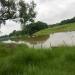 Bamboo Bridge