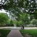 Lafayette Park in Washington, D.C. city