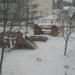 Газон в городе Павловский Посад