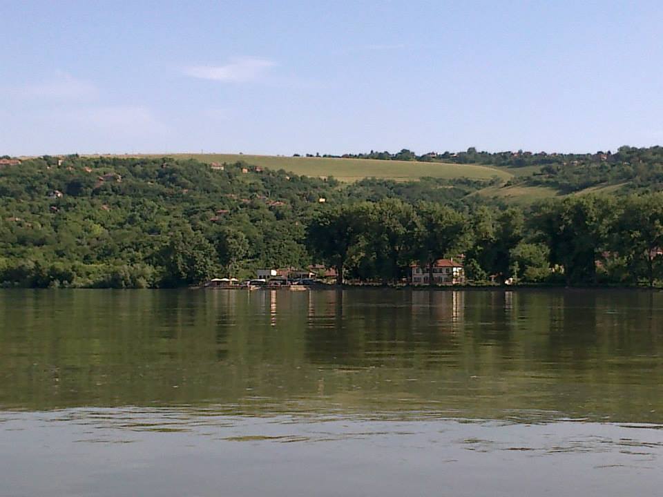 Ostrov