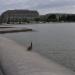 Capitol Reflecting Pool in Washington, D.C. city