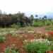 Ngorongoro Farm House