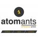 Atomants Services in Noida city