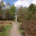 Gibbet Hill & Celtic Cross