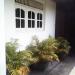Rodrigo's Home in Panadura city