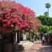 El Pueblo de Los Angeles State Historic Park in Los Angeles, California city