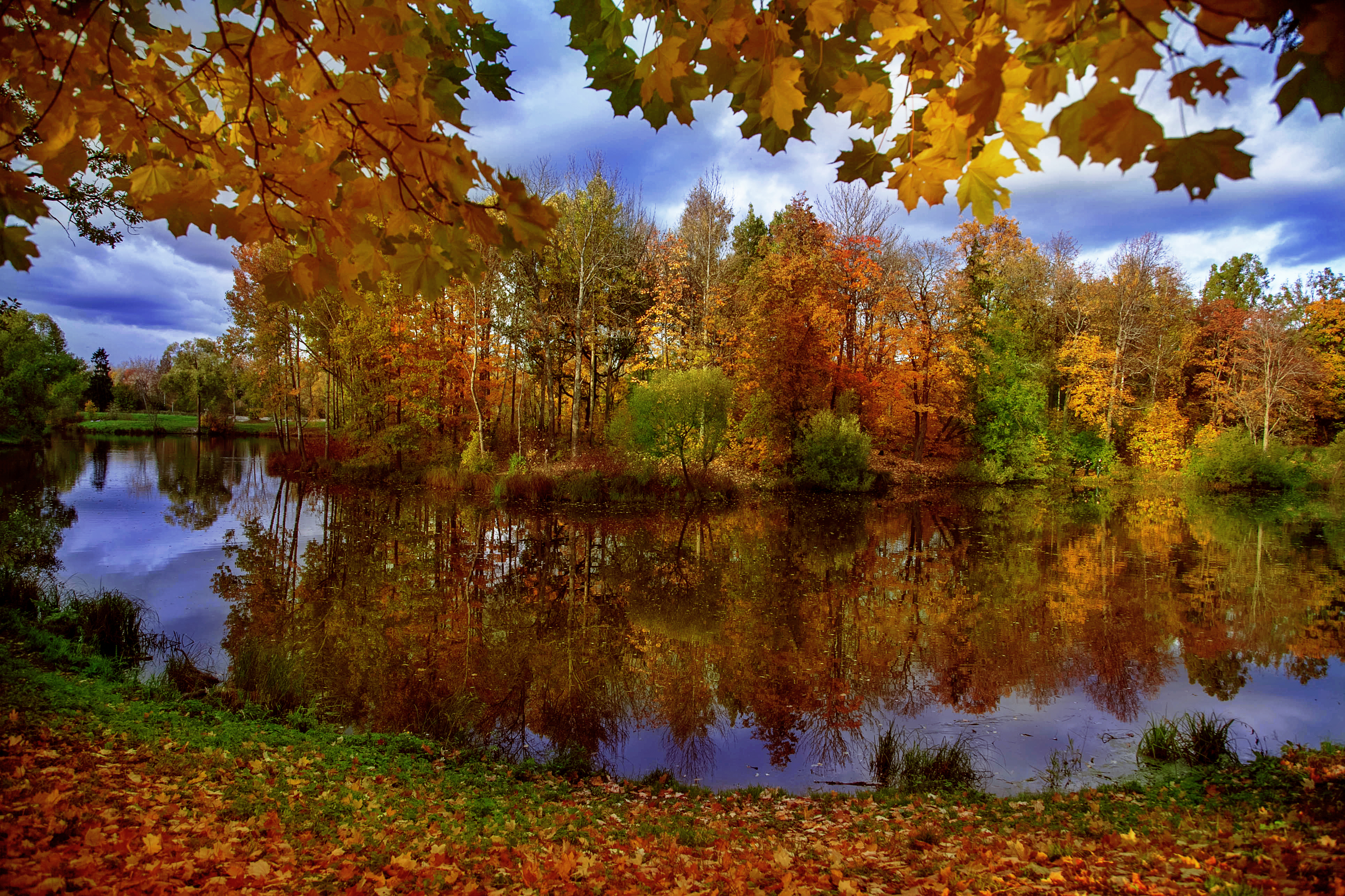Осень река листопад