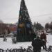 Новорічна ялинка (uk) в городе Вышгород