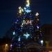 Christmas tree in Lutsk city