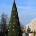 Место установки новогодней ёлки в городе Гомель