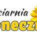 Kwiaciania Słonecznik in Konin city