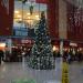 Ropewalk Christmas Tree in Nuneaton city