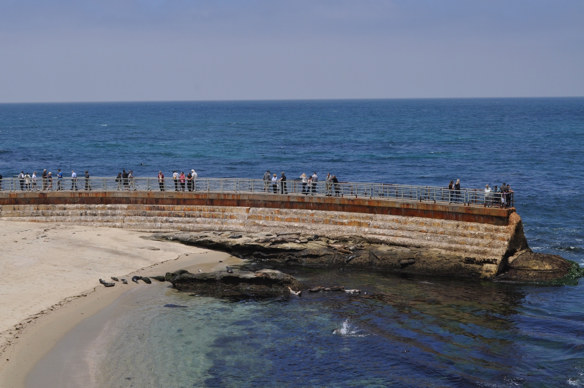 La Jolla Children's Pool San Diego, California