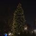 New Year Tree (en) в городе Рига