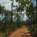 Jardine River National Park