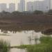 Arasankazhani Lake in Chennai city