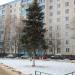 Дерево в городе Красногорск