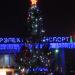 Место установки новогодней ёлки в городе Гомель