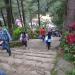 Stairway in Baguio city