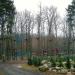 Park Linowy Leśny Kot in Słupsk city