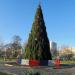 Место установки новогодней ёлки в городе Гомель