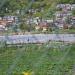 Benguet State University - La Trinidad Strawberry & Vegetable Farms