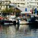 Morning Fish Market