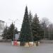 Место установки новогодней ёлки в городе Каменск-Шахтинский