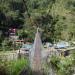 Hanging Bridge (foot bridge)