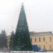 Место под новогоднюю ёлку в городе Рославль