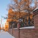 Посадки лиственниц в городе Ирбит