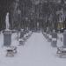 Парк «СССР» в городе Тутаев