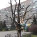 Сквер (ru) in Mariupol city