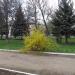 Сквер в городе Каменск-Шахтинский