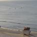 Herzel Beach in Netanya  city