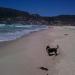 Clovelly Beach in Cape Town city