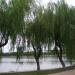 思源湖 在 上海 城市 