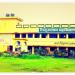 Nirsu Narain College Singhara, Singhara