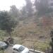 Shivalik Nagar Phase-III, Park-2 (Near House No. R-36 of Daya Ram Singh Bhamra) in Haridwar city