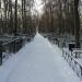 Старое городское кладбище в городе Павловский Посад