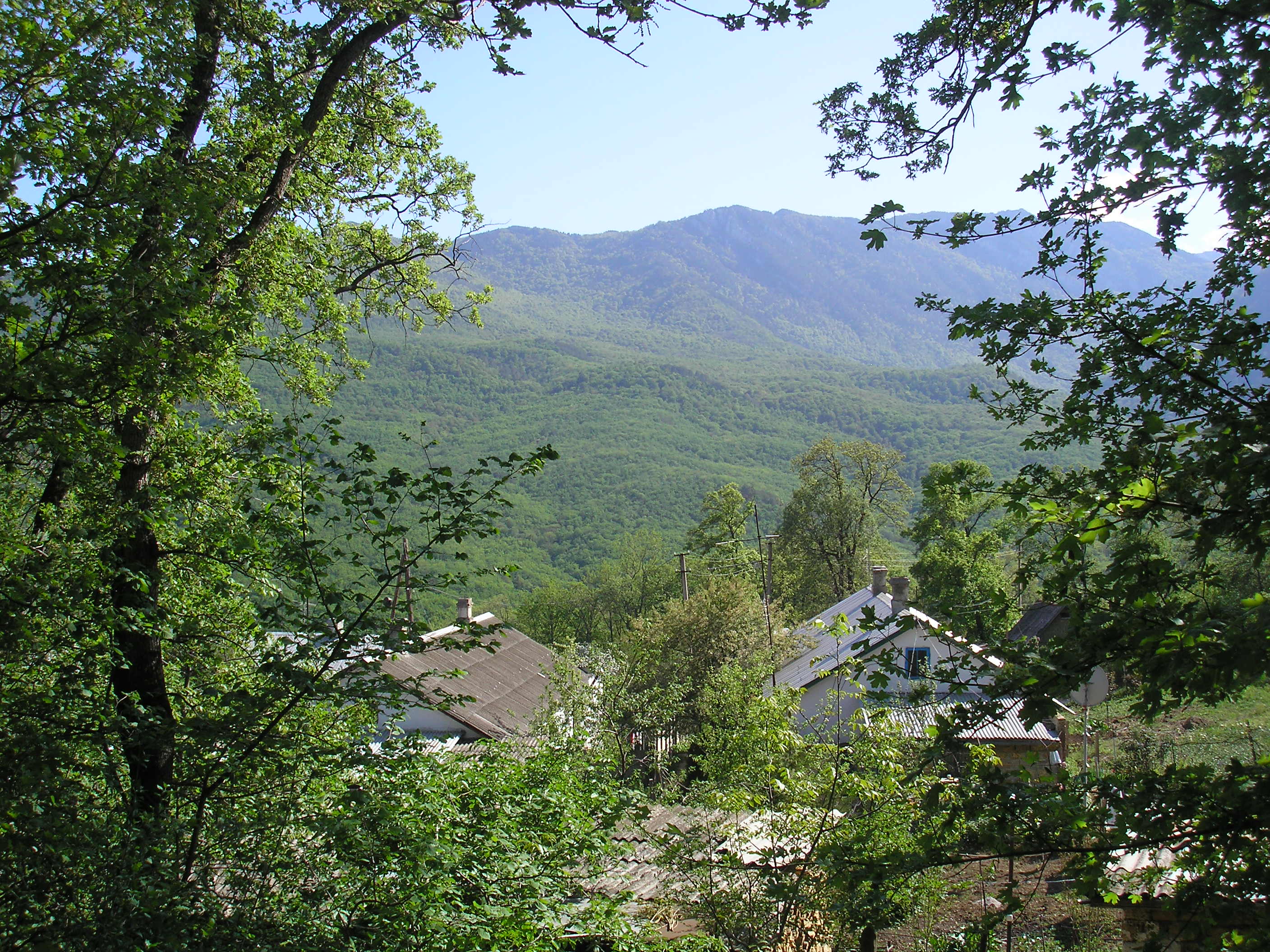 Rozovyi