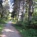 Круглая беседка в городе Белая Церковь
