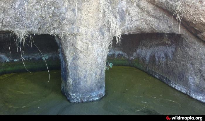 smelly cistern water