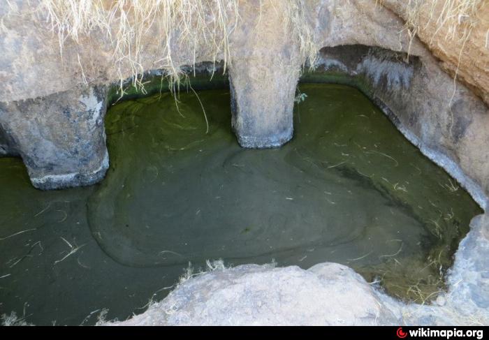 smelly cistern water