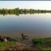 Стрелецкое озеро в городе Курск