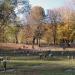 Woodlawn Cemetery