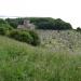 Churchyard of St Andrews Church, Clevedon