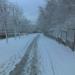 Татарское и еврейское кладбище в городе Пенза