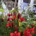 Ronny Ruud & Henry Bedoya´s Garden in Oslo city